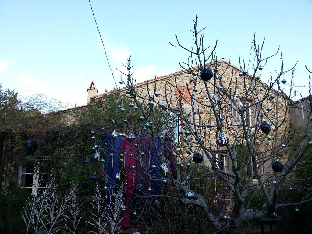 Ferienwohnung Mas De La Petite Jeanne Grimaud Exterior foto