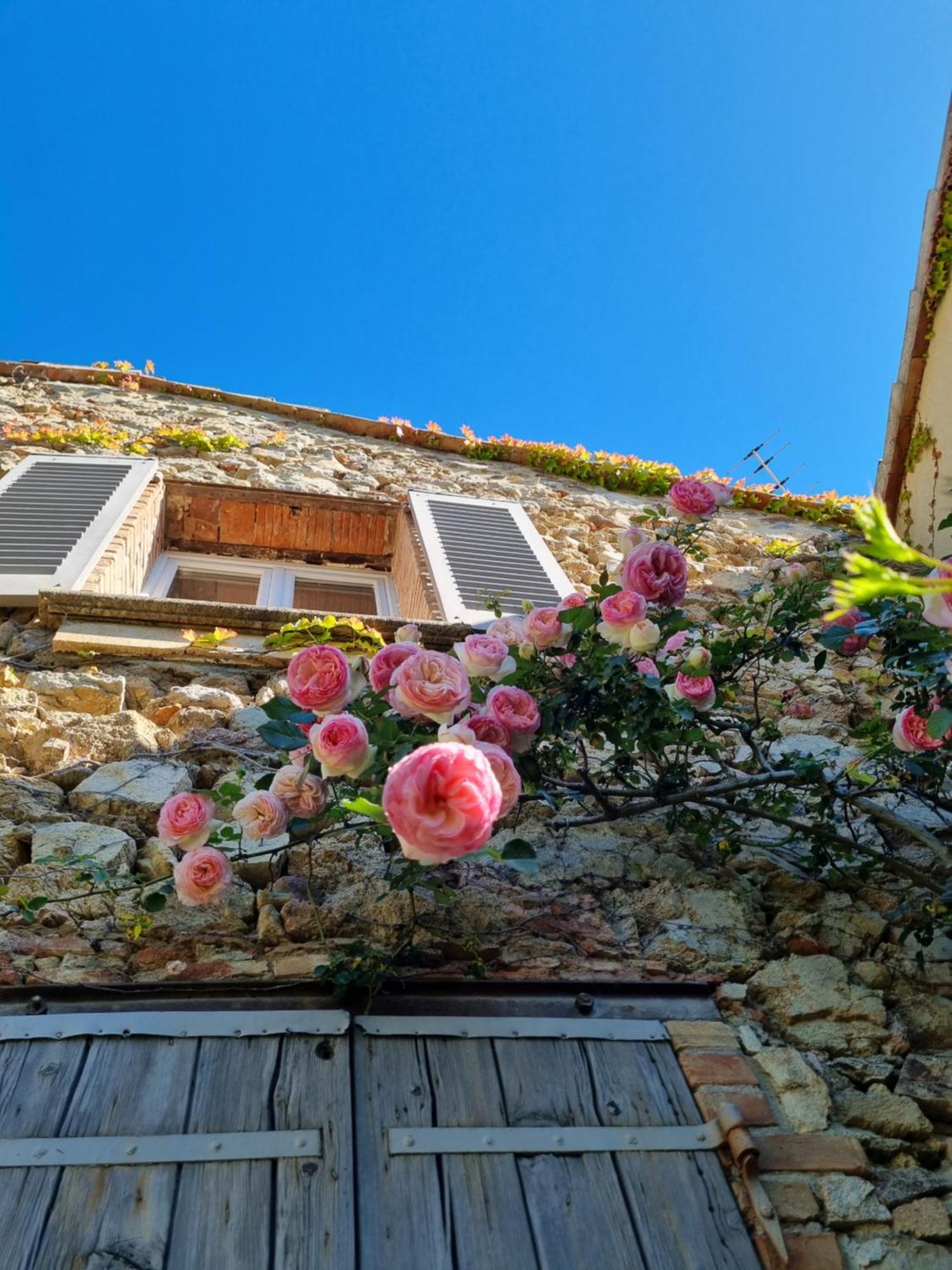 Ferienwohnung Mas De La Petite Jeanne Grimaud Exterior foto